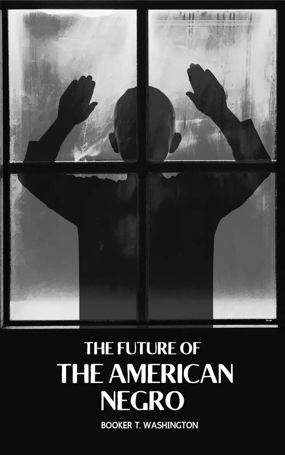 The Future of the American Negro by Booker T. Washington